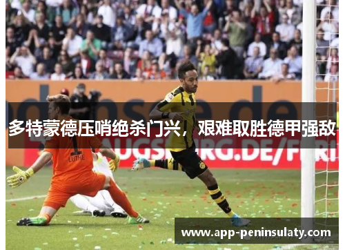 多特蒙德压哨绝杀门兴，艰难取胜德甲强敌