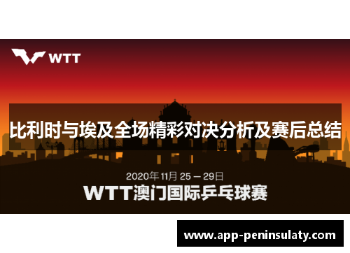 比利时与埃及全场精彩对决分析及赛后总结